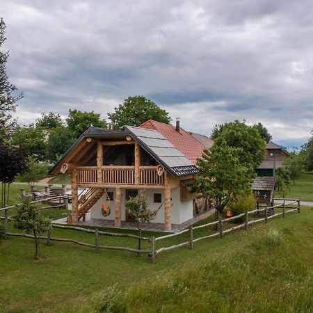 Holiday Home Virida, App Leopold III Ivancna Gorica Exteriér fotografie