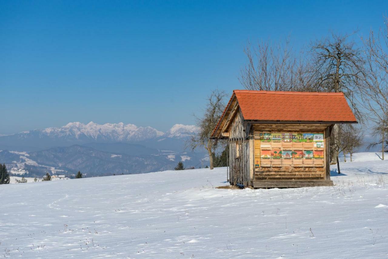 Holiday Home Virida, App Leopold III Ivancna Gorica Exteriér fotografie